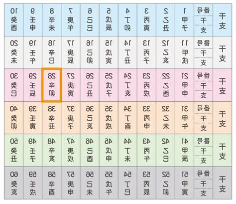 乙酉 女性